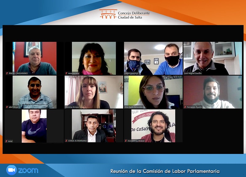 labor parlamentatia