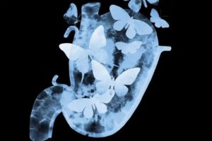 mariposas-estomago-cautiva