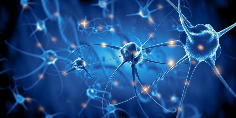 neuronas2-e1537381551634-800x400